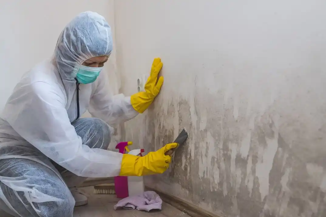water damage restoration service Pacific Springs